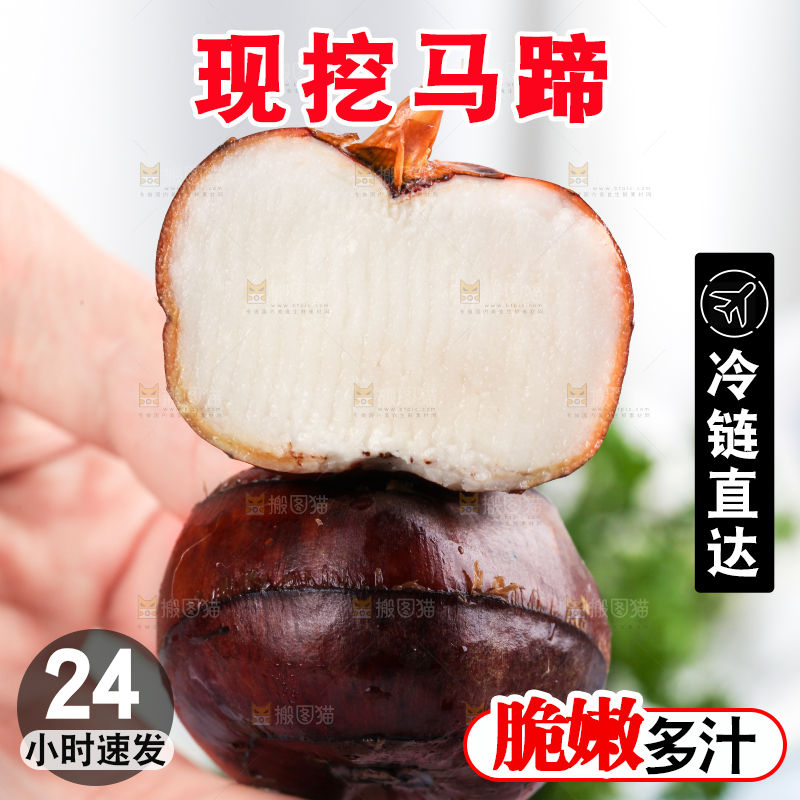 彩底上放着红马蹄