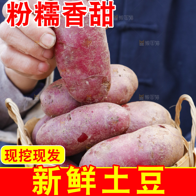 手里拿着新鲜红土豆