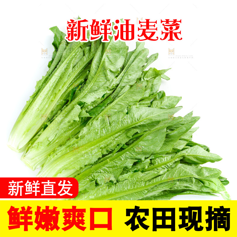 白底上放着油麦菜