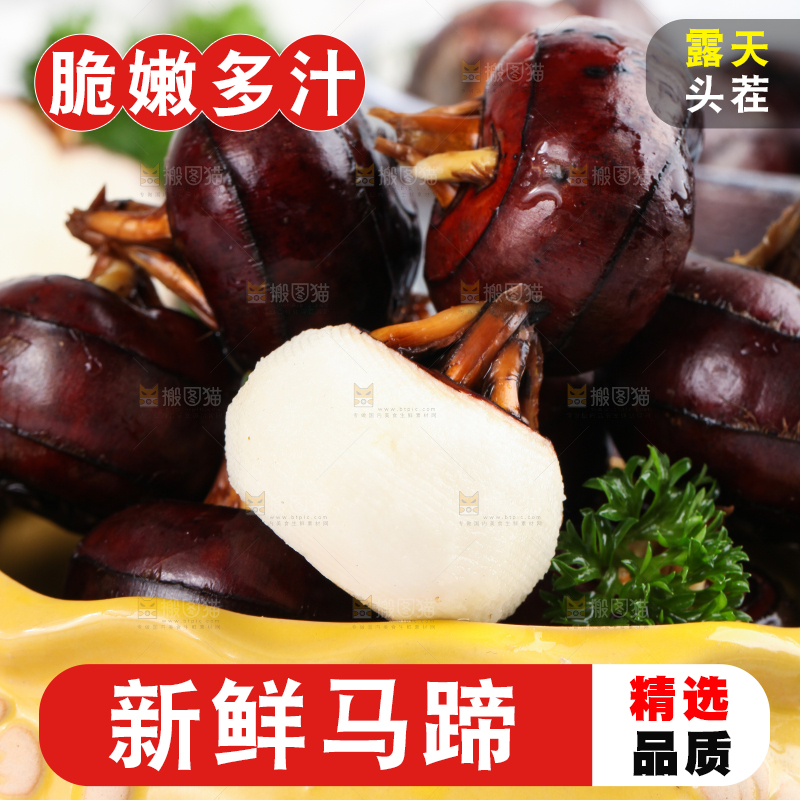 彩底上的马蹄果