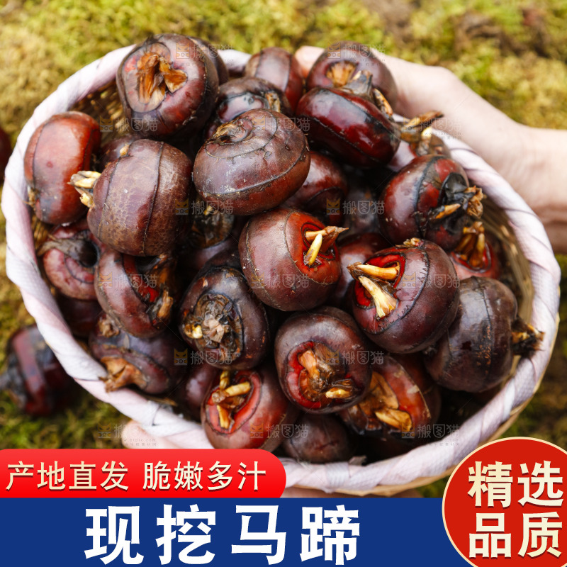 篮子里装着广西马蹄