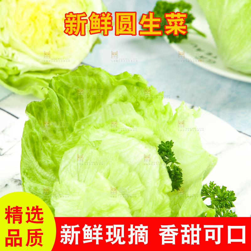 盘子里装着球生菜