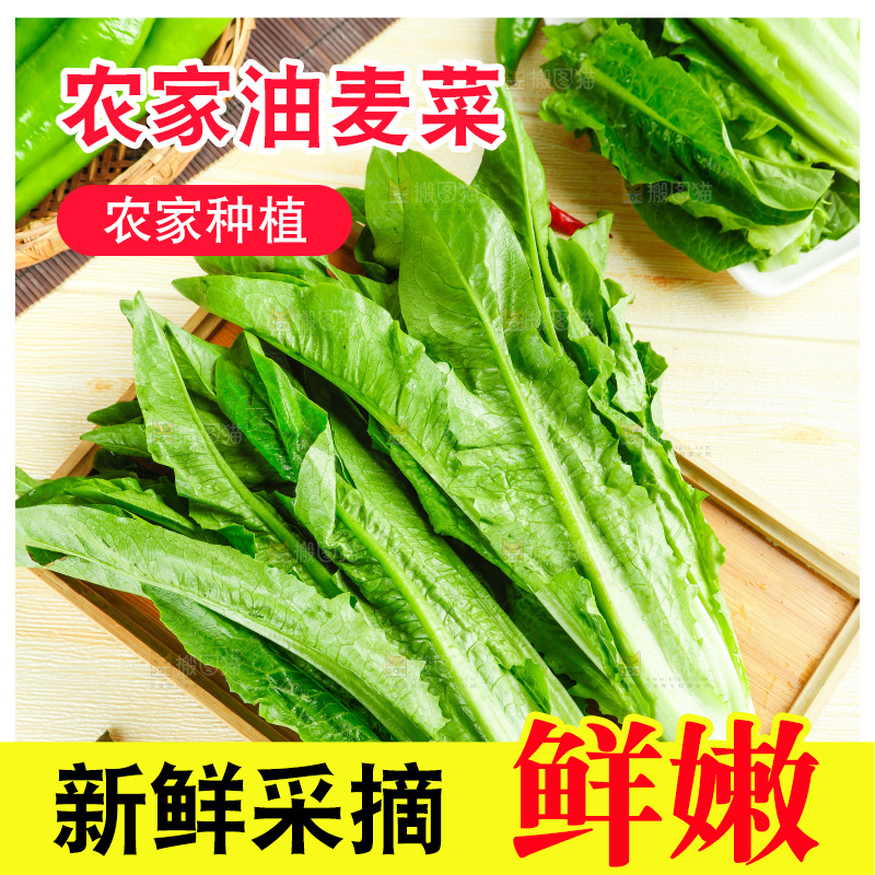 木板上的米香油麦菜