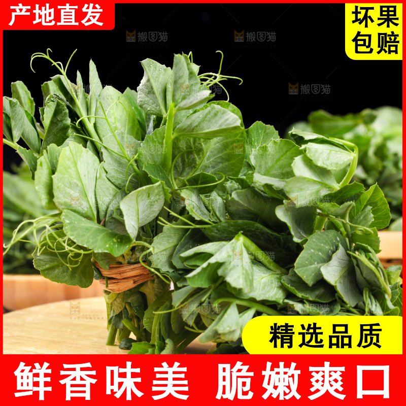 木板上放着农家豌豆尖