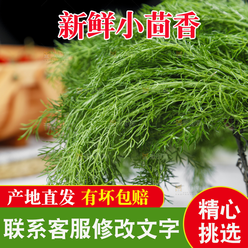 木底上的小茴香菜