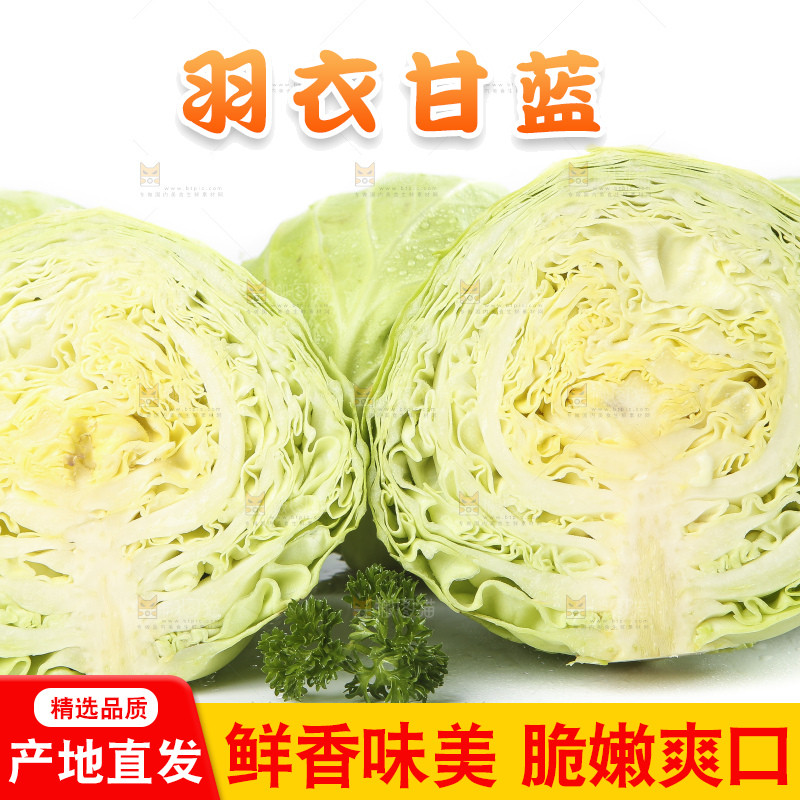 白底上摆放着包菜