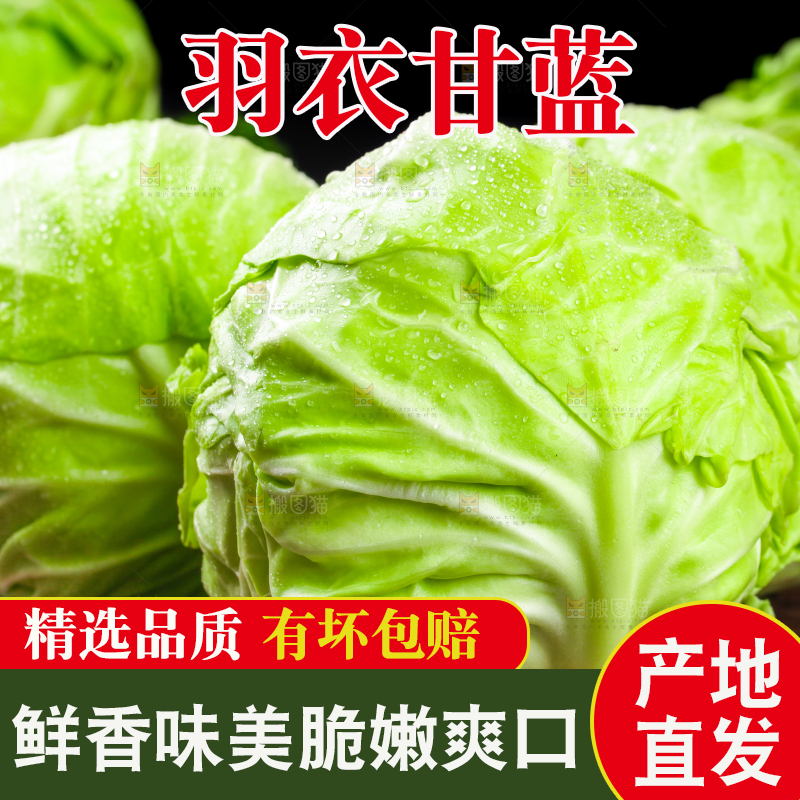 黑底上放着绿甘蓝