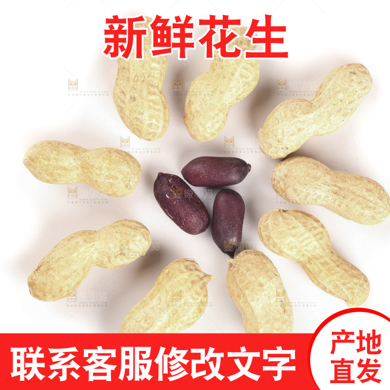 白底上的黑皮花生