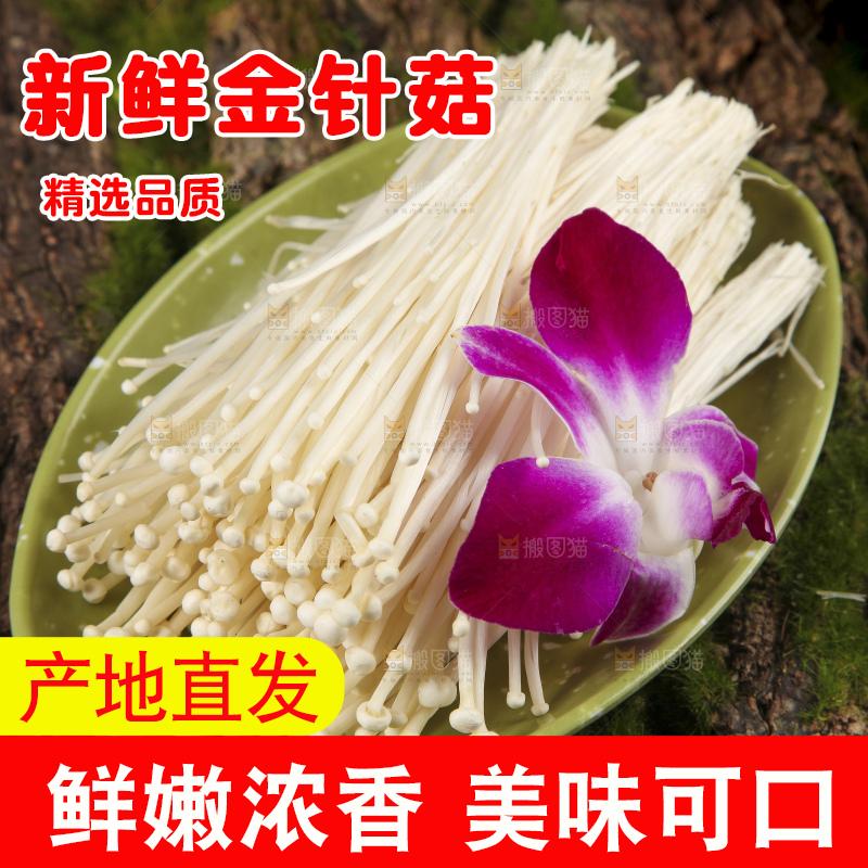 木底上的冬菇