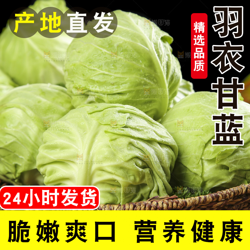 木底上放着一盘孢子甘蓝