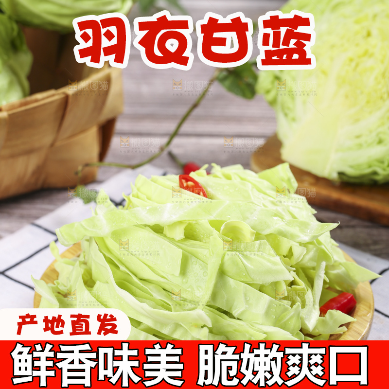 盘子里装着包心菜