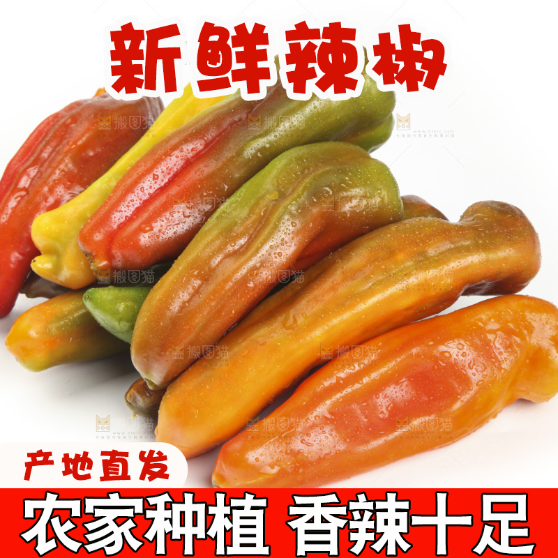 白底上的彩色辣椒