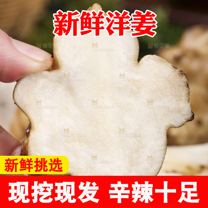 深底上的地姜片