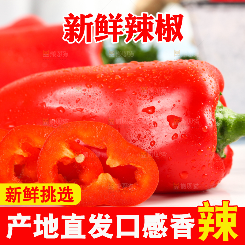 石板上的山东红辣椒