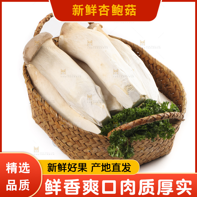 篮子里的菌菇