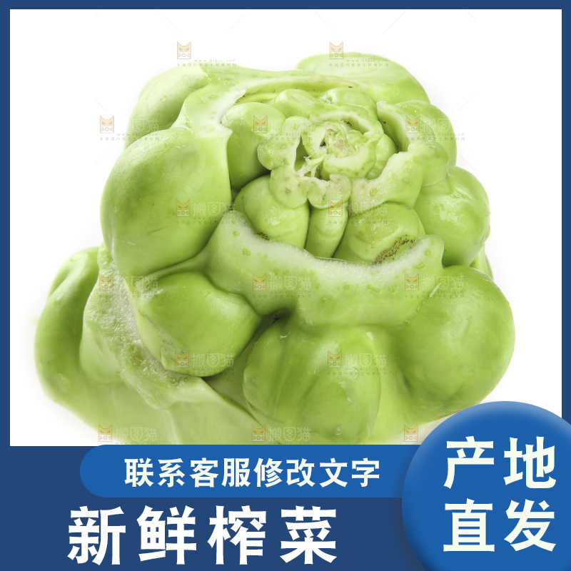 白底上放着芥菜头