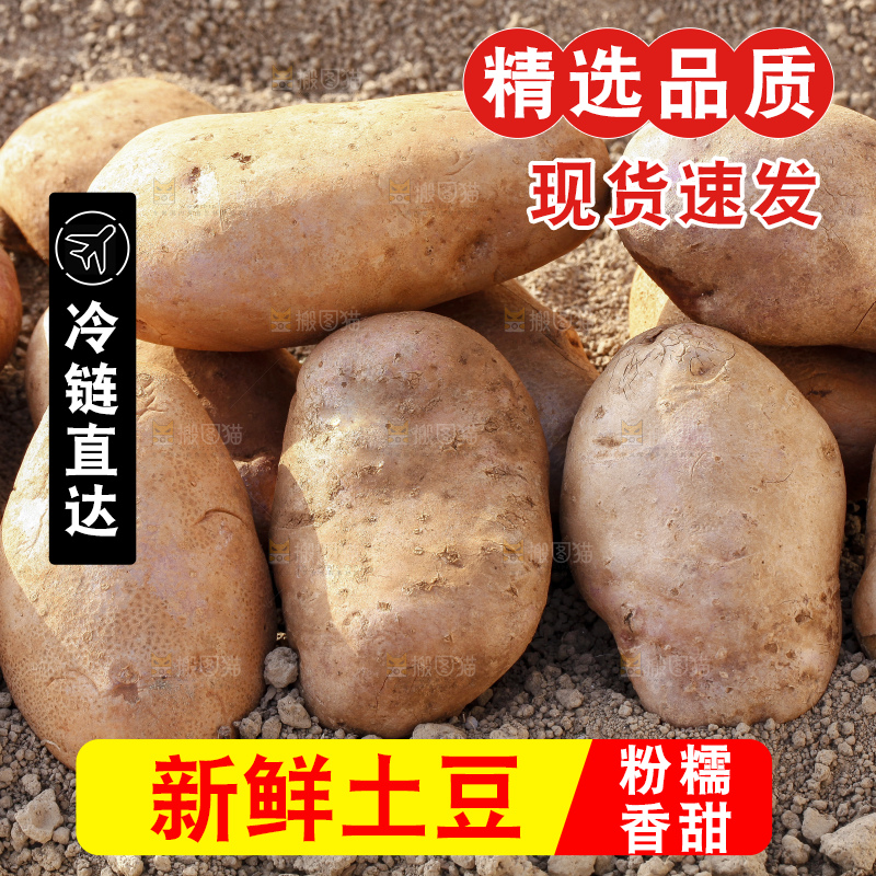 沙地里的彩色土豆