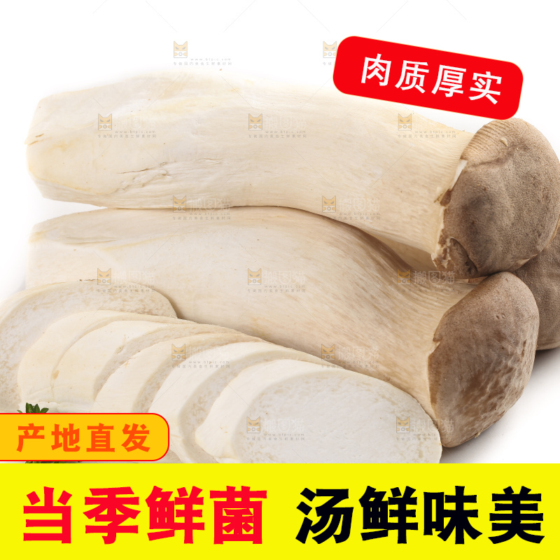 白底上放着大鸡腿菇