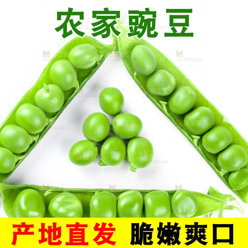白底上放着新鲜豌豆粒