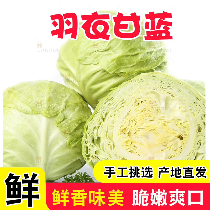 白底上摆放着包菜