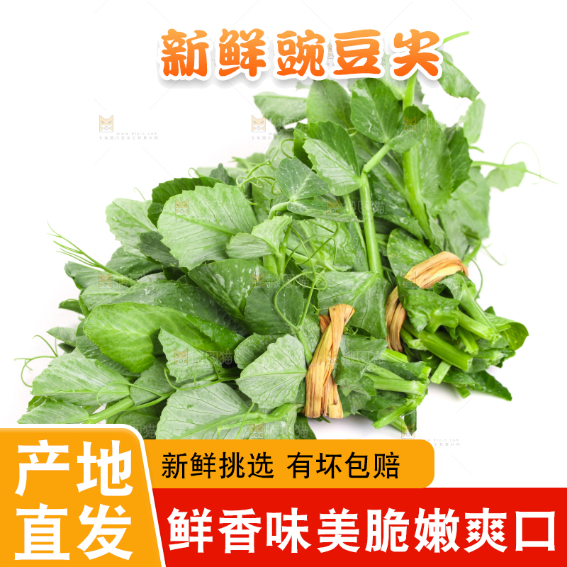 白底上摆放着新鲜豌豆苗