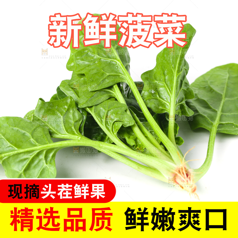 白底上放着菠菜