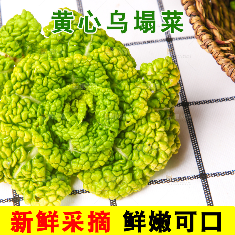 篮子里装着乌塌菜