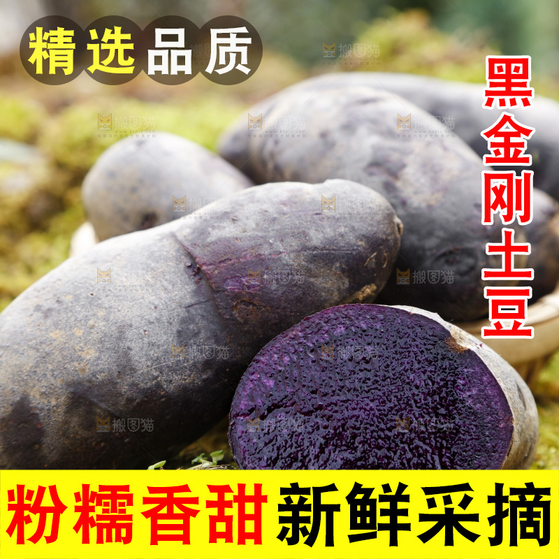 篮子里装青海黑土豆
