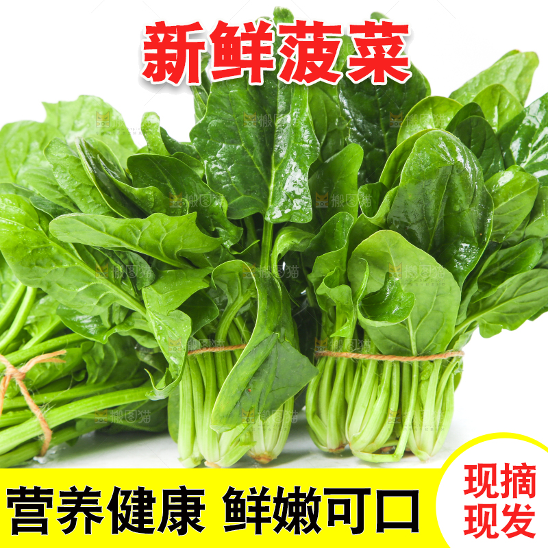 白底上的大叶菠菜