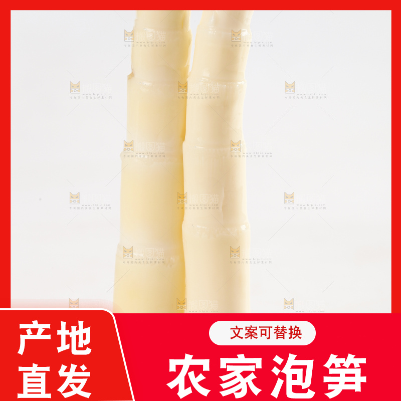 白底上放着白竹笋