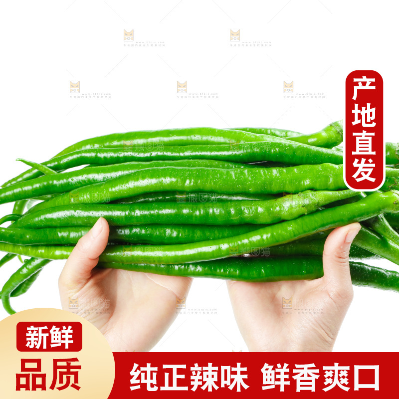 手里拿着二荆条辣椒