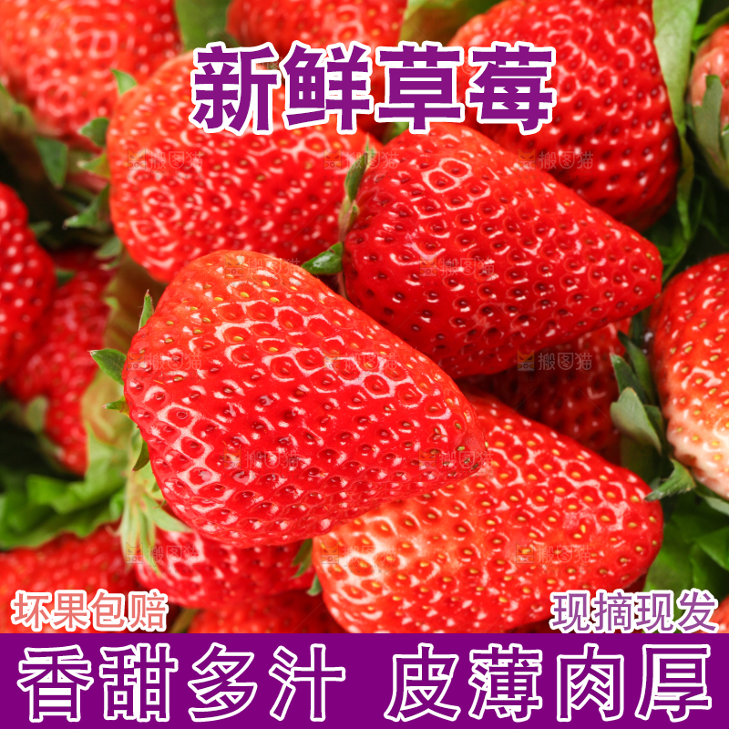 白底上放着一箱新鲜草莓