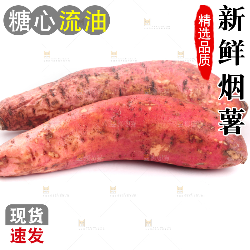 白底上蜜署