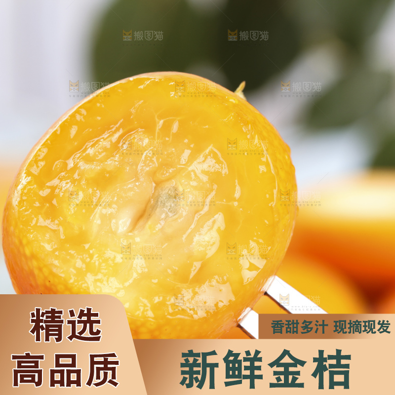 叉子上叉着广西金桔