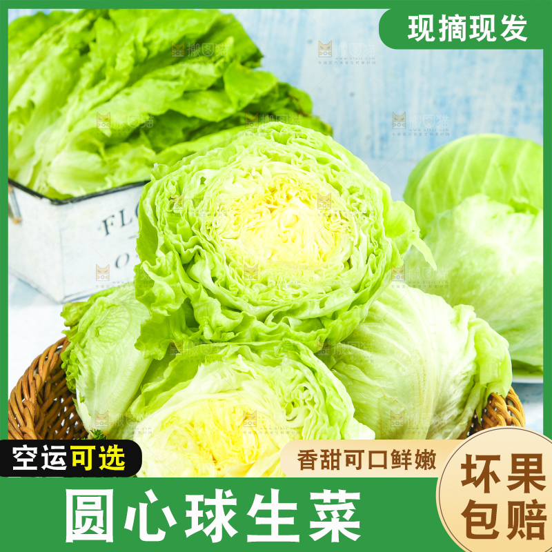篮子里放着圆生菜