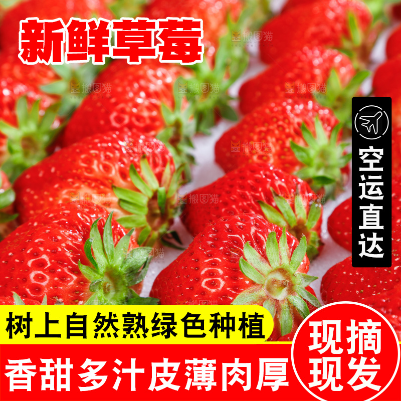 箱子里装着牛奶草莓