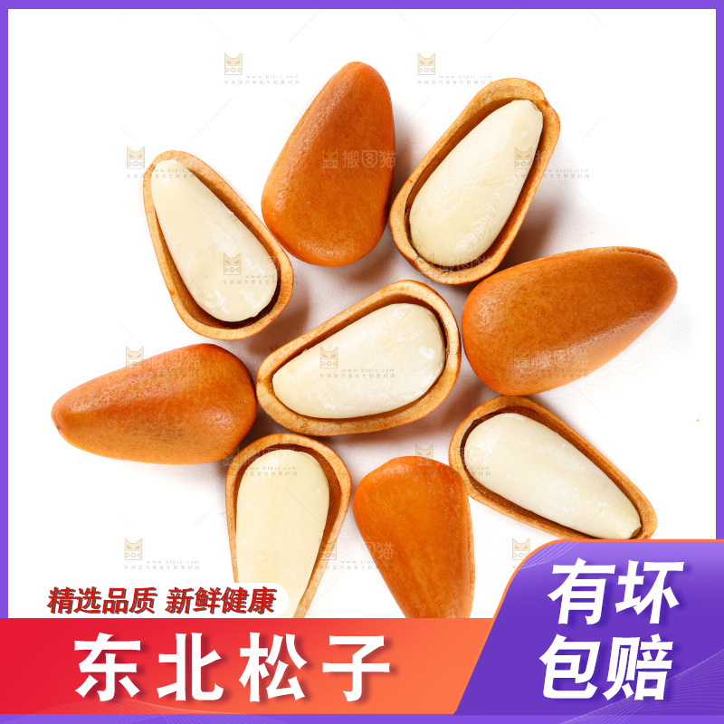 白底上的开口松子
