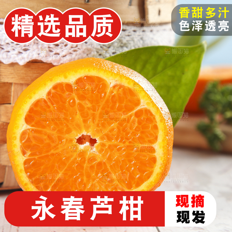 篮子里装着新鲜芦柑