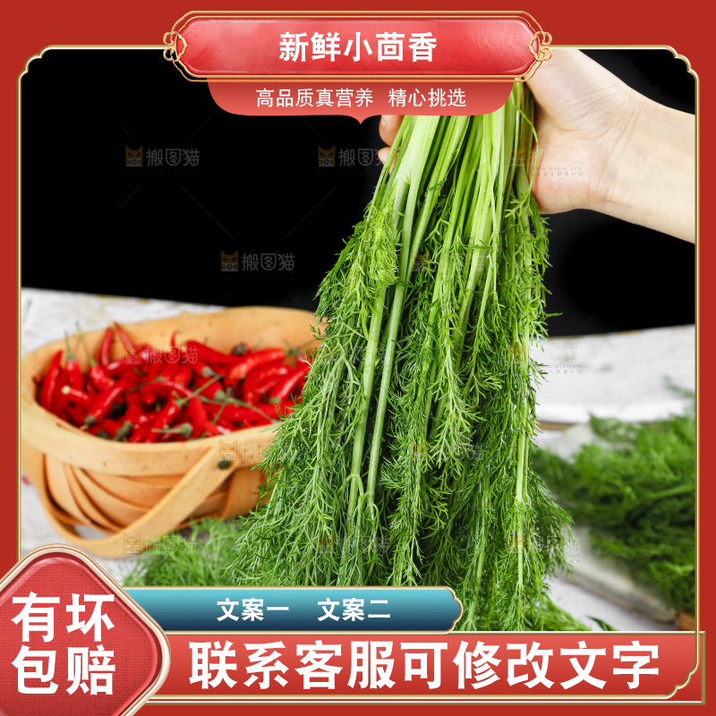手里拿着小茴香