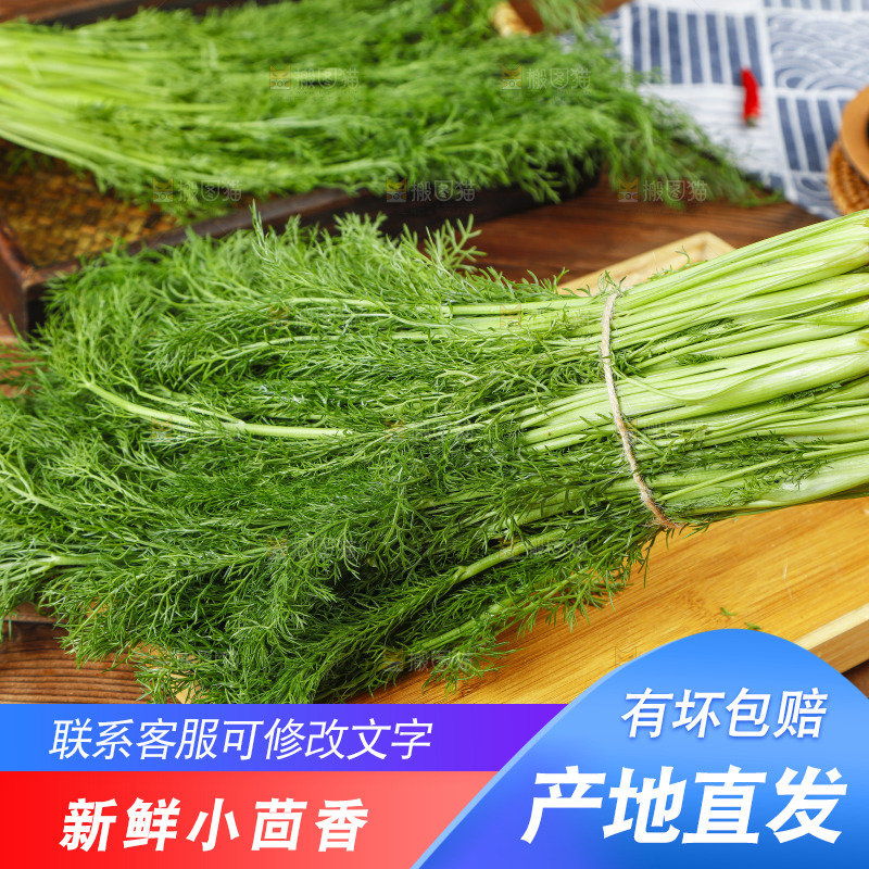 木板上的土茴香