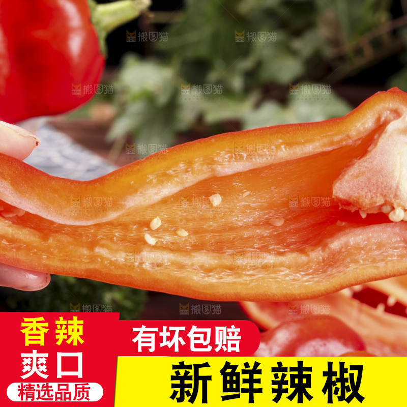 手里拿着新鲜红辣椒