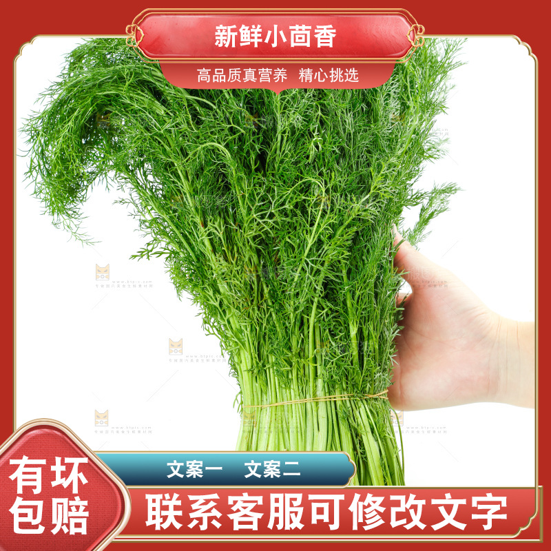 浅底上的茴香菜
