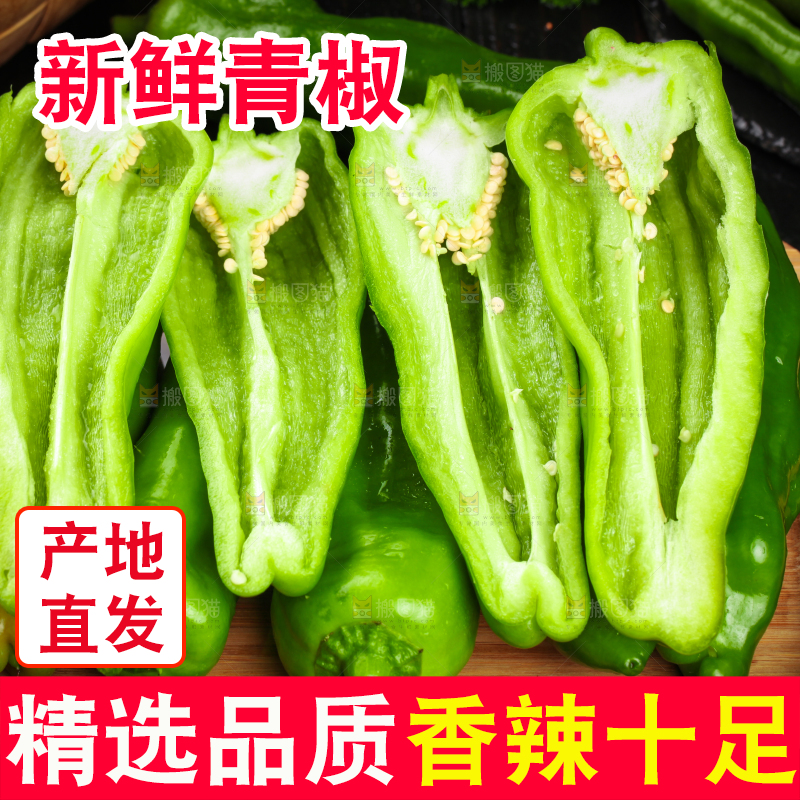 盘子里的薄皮青椒