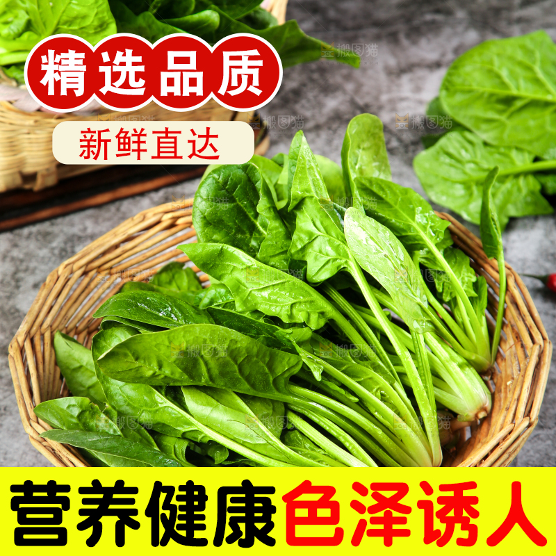 篮子里的红根菠菜
