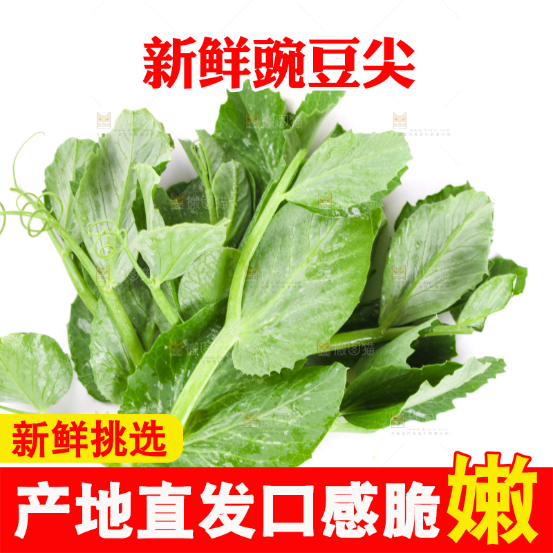 白底上摆放着新鲜豌豆苗