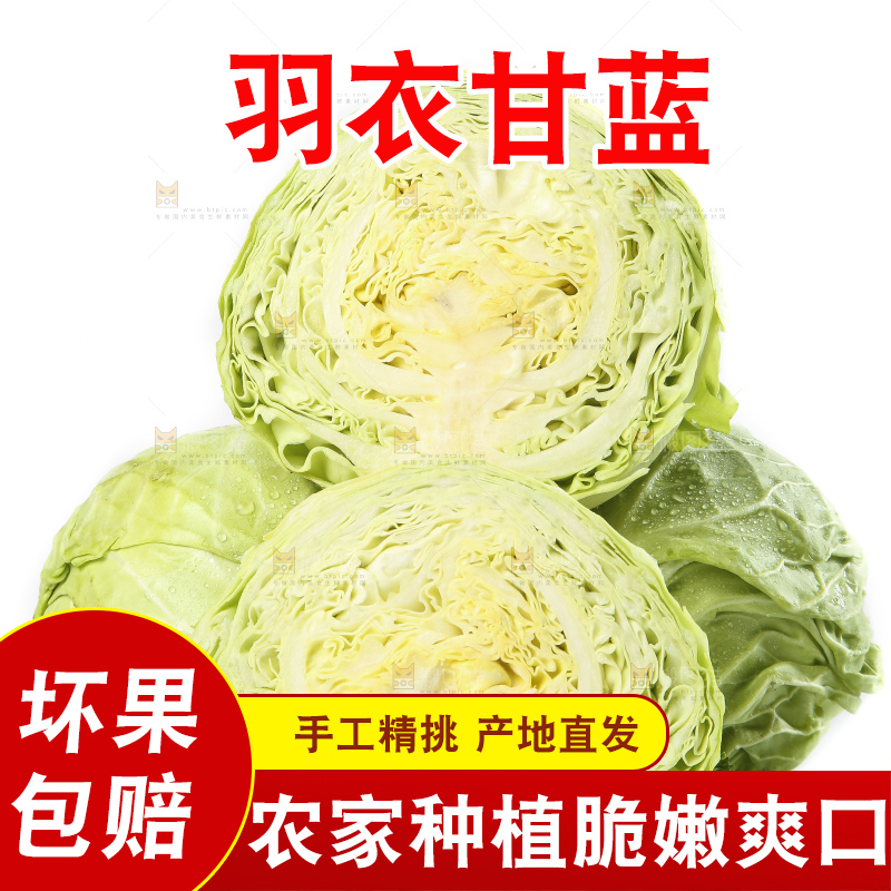 白底上摆放着包菜