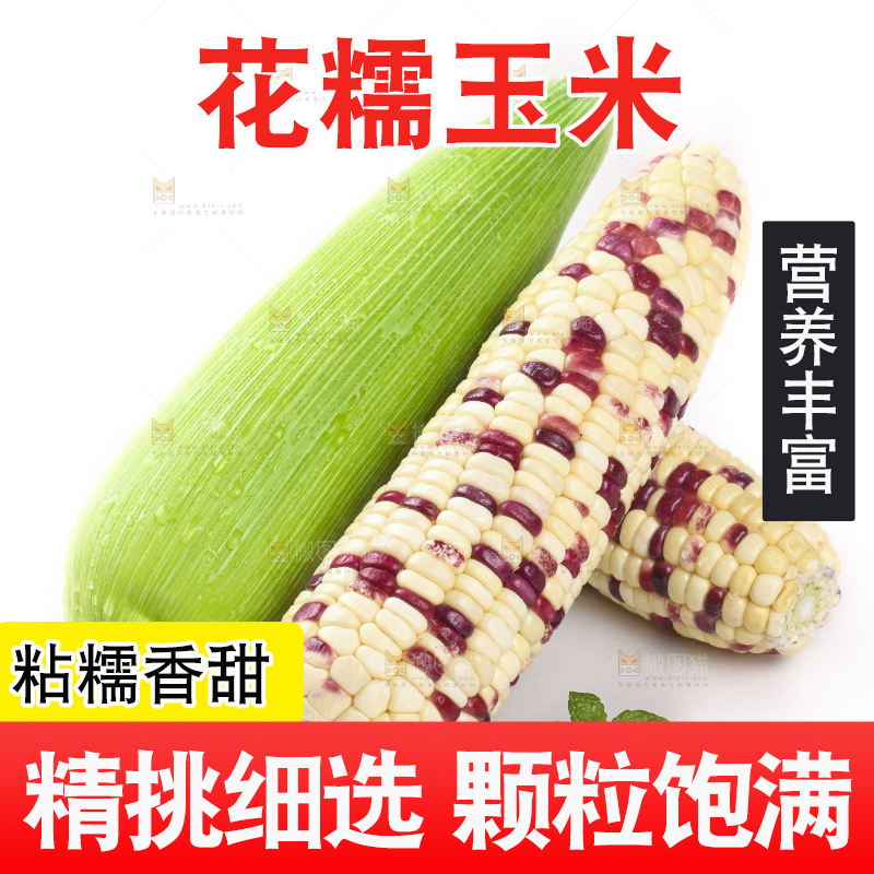 白底上的玉米