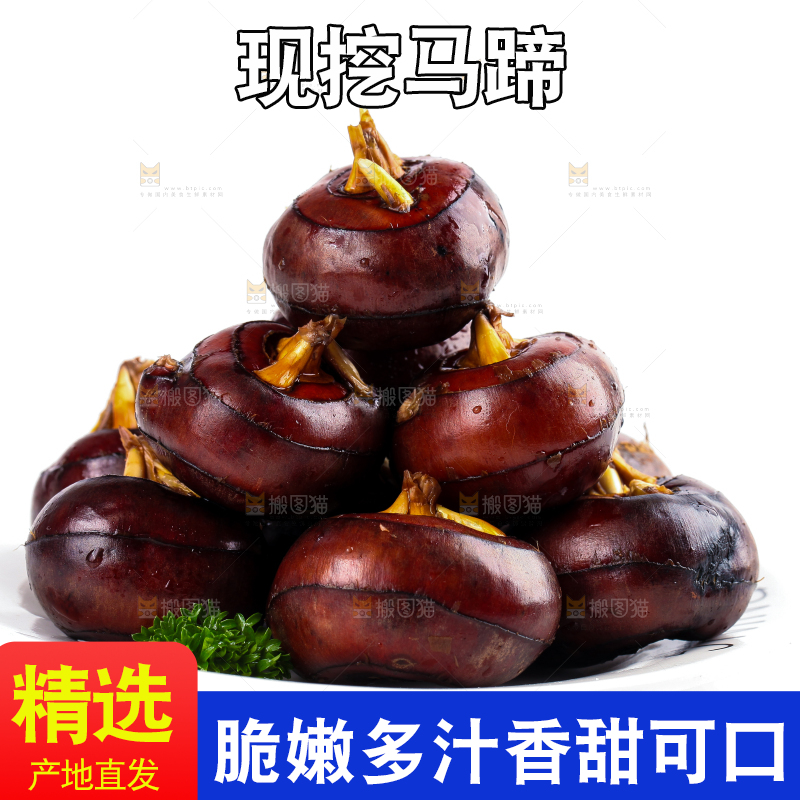 白底上摆放着乐昌北乡马蹄