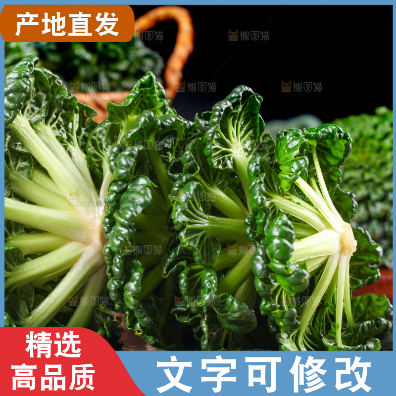 盘子里装着农家乌塌菜