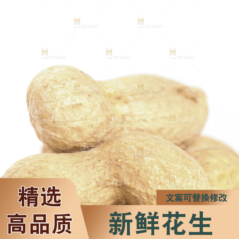 白底上的黑皮花生